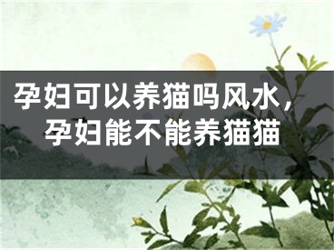 孕妇可以养猫吗风水，孕妇能不能养猫猫