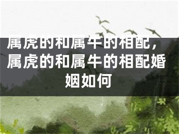 属虎的和属牛的相配，属虎的和属牛的相配婚姻如何