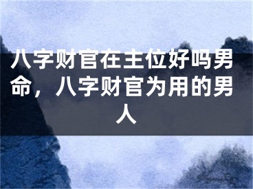 八字财官在主位好吗男命，八字财官为用的男人