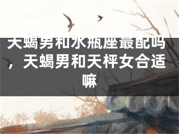 天蝎男和水瓶座最配吗，天蝎男和天枰女合适嘛