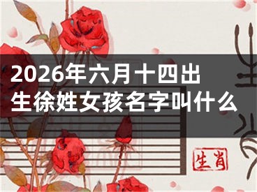 2026年六月十四出生徐姓女孩名字叫什么