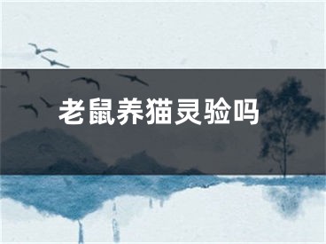 老鼠养猫灵验吗