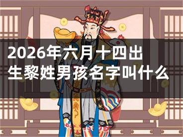 2026年六月十四出生黎姓男孩名字叫什么