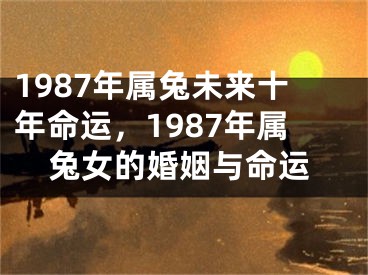 1987年属兔未来十年命运，1987年属兔女的婚姻与命运