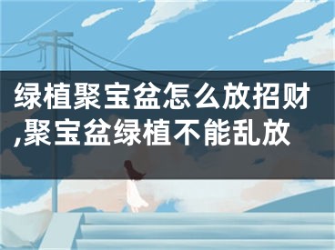 绿植聚宝盆怎么放招财,聚宝盆绿植不能乱放