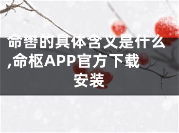 命辔的具体含义是什么,命枢APP官方下载安装