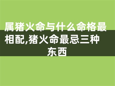 属猪火命与什么命格最相配,猪火命最忌三种东西