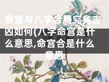 命宫与八字合局究竟吉凶如何(八字命宫是什么意思,命宫合是什么意思
