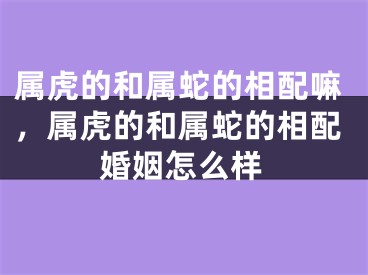 属虎的和属蛇的相配嘛，属虎的和属蛇的相配婚姻怎么样