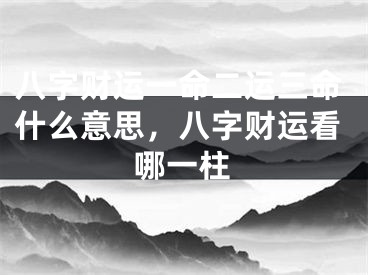 八字财运一命二运三命什么意思，八字财运看哪一柱