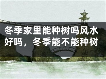 冬季家里能种树吗风水好吗，冬季能不能种树