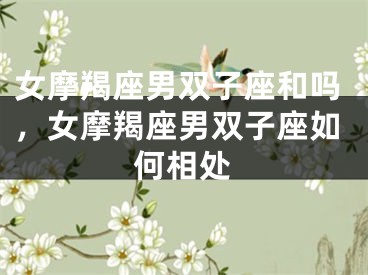 女摩羯座男双子座和吗，女摩羯座男双子座如何相处
