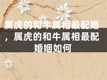 属虎的和牛属相最配婚，属虎的和牛属相最配婚姻如何