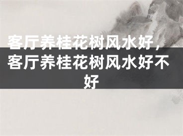客厅养桂花树风水好，客厅养桂花树风水好不好