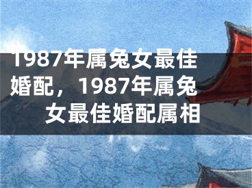 1987年属兔女最佳婚配，1987年属兔女最佳婚配属相