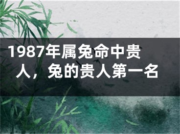 1987年属兔命中贵人，兔的贵人第一名