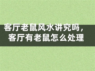 客厅老鼠风水讲究吗，客厅有老鼠怎么处理