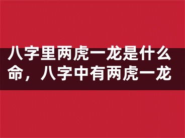 八字里两虎一龙是什么命，八字中有两虎一龙