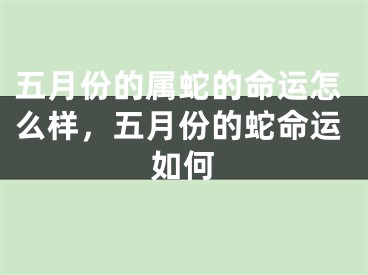 五月份的属蛇的命运怎么样，五月份的蛇命运如何