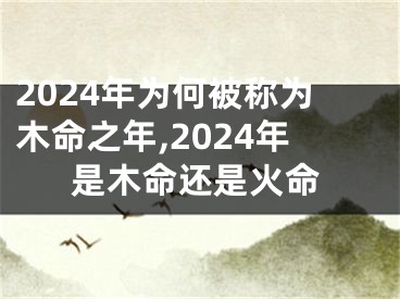 2024年为何被称为木命之年,2024年是木命还是火命