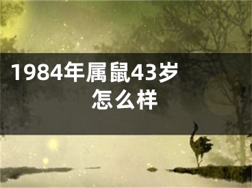1984年属鼠43岁怎么样