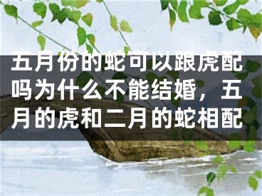 五月份的蛇可以跟虎配吗为什么不能结婚,五月的虎和二月的蛇相配
