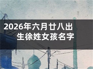 2026年六月廿八出生徐姓女孩名字
