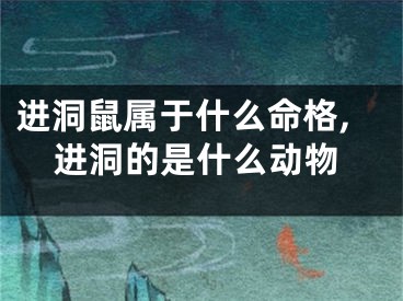 进洞鼠属于什么命格,进洞的是什么动物