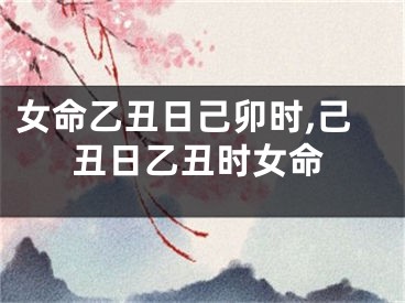 女命乙丑日己卯时,己丑日乙丑时女命