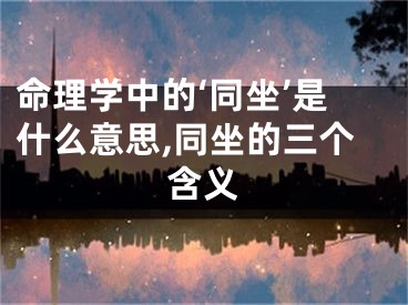 命理学中的‘同坐’是什么意思,同坐的三个含义