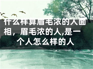 什么样算眉毛浓的人面相，眉毛浓的人,是一个人怎么样的人