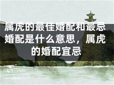 属虎的最佳婚配和最忌婚配是什么意思,属虎的婚配宜忌
