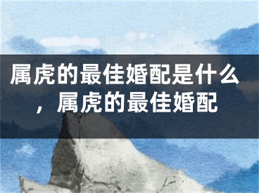 属虎的最佳婚配是什么，属虎的最佳婚配