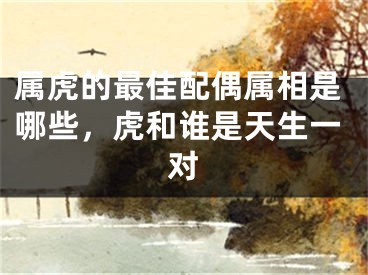 属虎的最佳配偶属相是哪些,虎和谁是天生一对