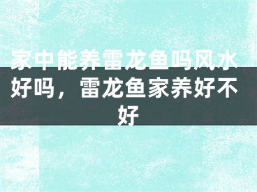 家中能养雷龙鱼吗风水好吗，雷龙鱼家养好不好