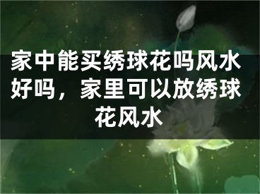 家中能买绣球花吗风水好吗，家里可以放绣球花风水