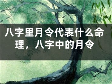 八字里月令代表什么命理，八字中的月令