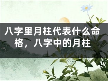 八字里月柱代表什么命格，八字中的月柱