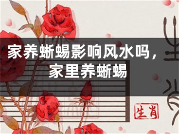 家养蜥蜴影响风水吗，家里养蜥蜴