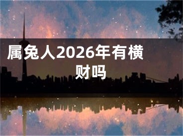 属兔人2026年有横财吗