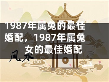 1987年属兔的最佳婚配,1987年属兔女的最佳婚配