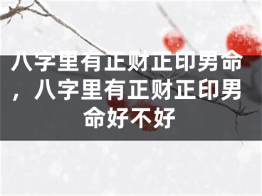 八字里有正财正印男命，八字里有正财正印男命好不好