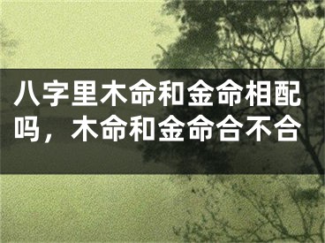八字里木命和金命相配吗,木命和金命合不合