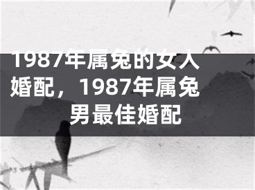 1987年属兔的女人婚配,1987年属兔男最佳婚配