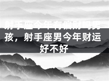 射手座今年有偏财吗男孩，射手座男今年财运好不好