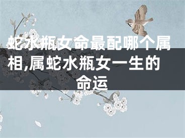 蛇水瓶女命最配哪个属相,属蛇水瓶女一生的命运