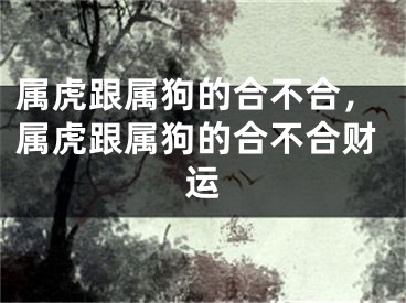 属虎跟属狗的合不合，属虎跟属狗的合不合财运