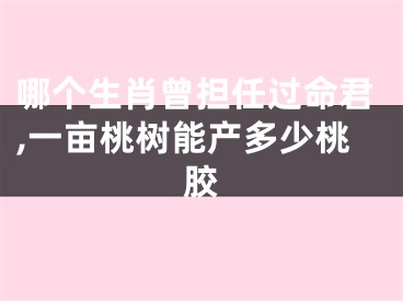 哪个生肖曾担任过命君,一亩桃树能产多少桃胶