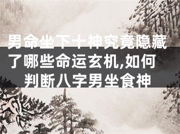 男命坐下十神究竟隐藏了哪些命运玄机,如何判断八字男坐食神