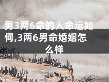 男3两6命的人命运如何,3两6男命婚姻怎么样
